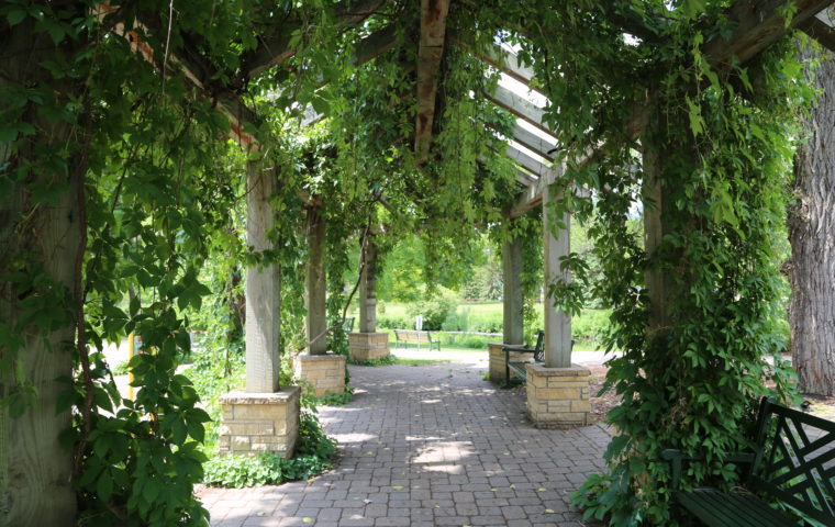 covered walkway at Wolfe Park