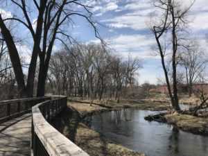 view of the creek from the boardwalk