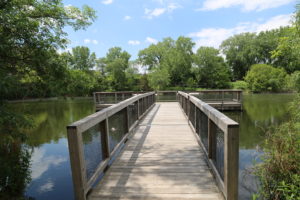 fishing pier at Wolfe Lake