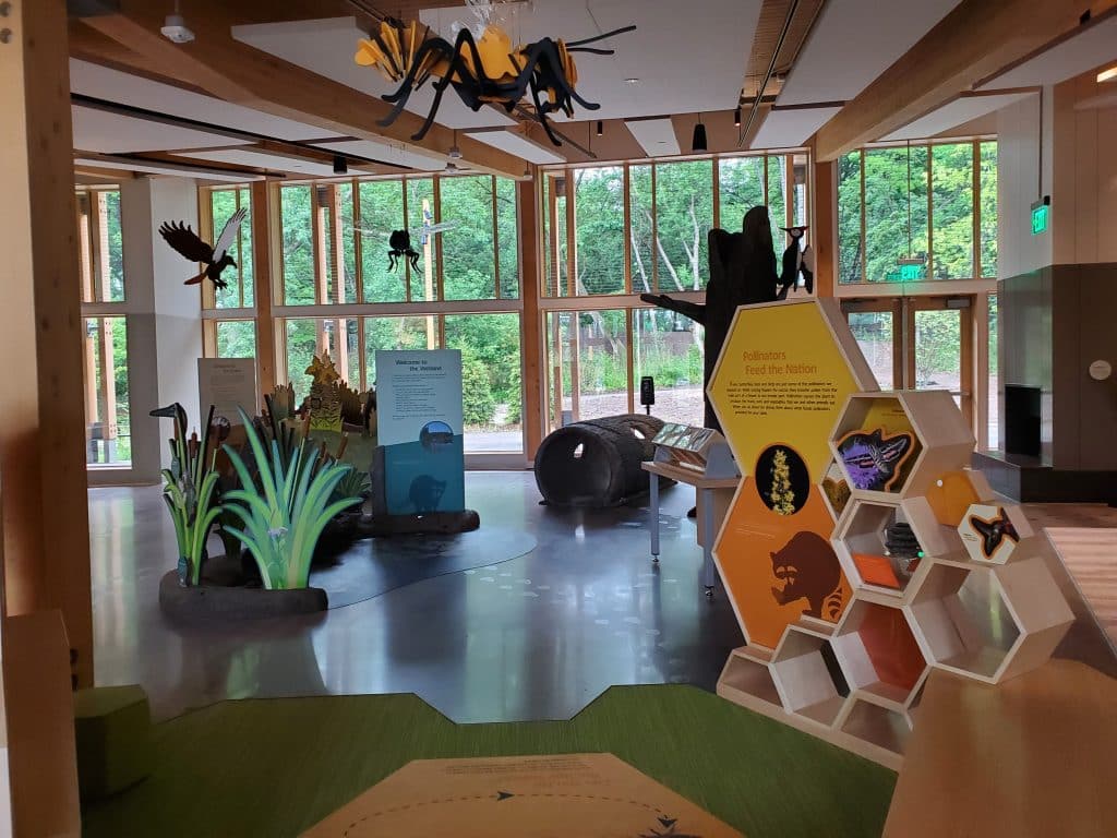 A view of some of the exhibits at Westwood Hills Nature Center, showing a large honeycomb, some marsh grass, and things hanging from the ceiling, like a giant spide
